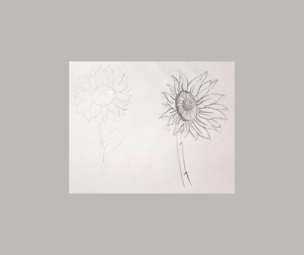 Exercises - image 2 - student project