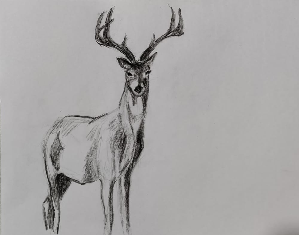Exercises - image 6 - student project