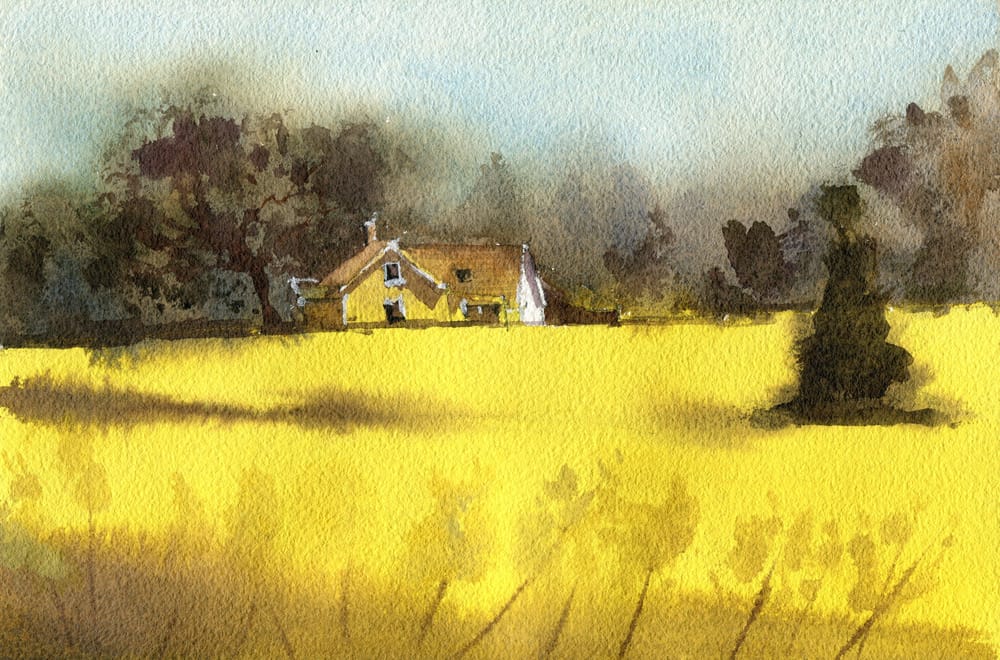 I painted these loose landscapes in under an hour! - image 2 - student project