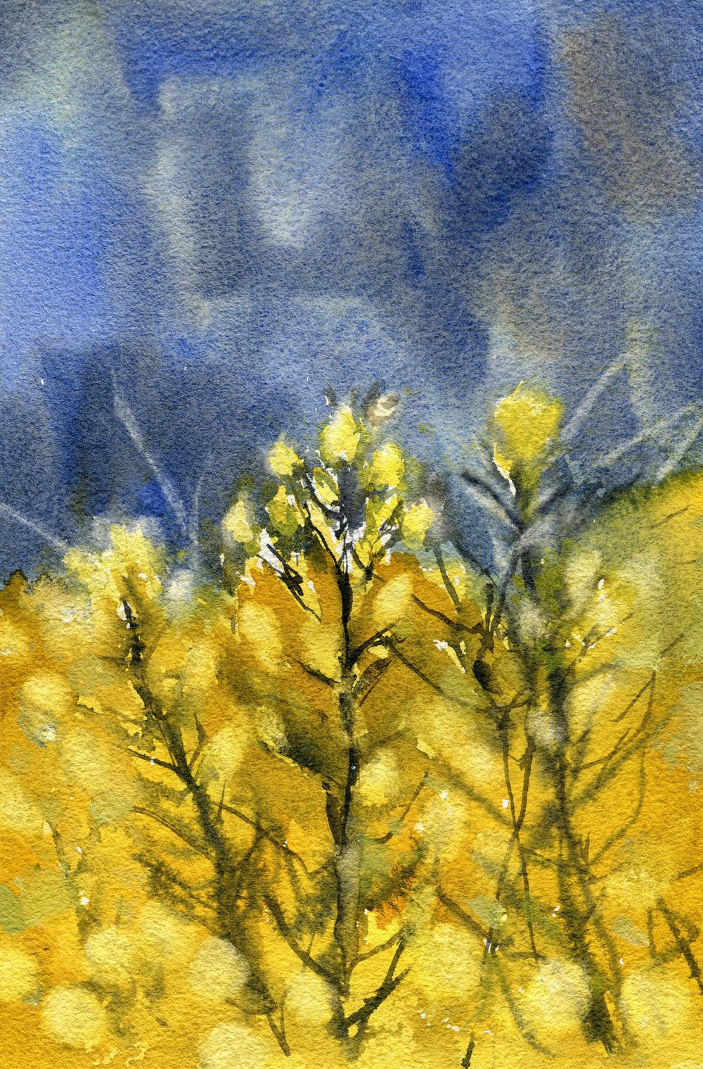 I painted these loose landscapes in under an hour! - image 6 - student project