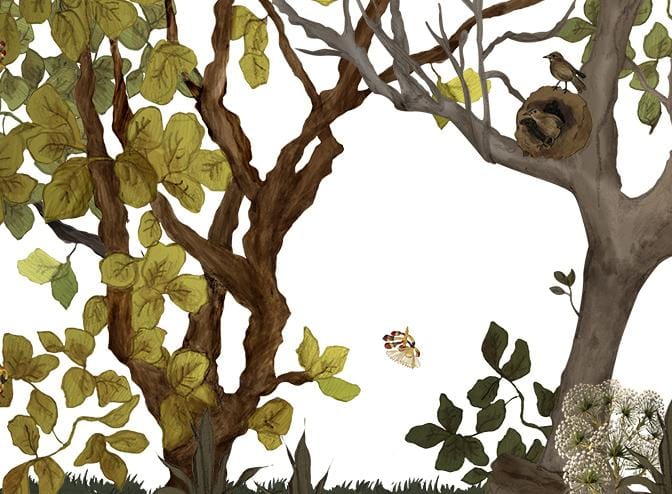 Brazilian Savanna - image 7 - student project