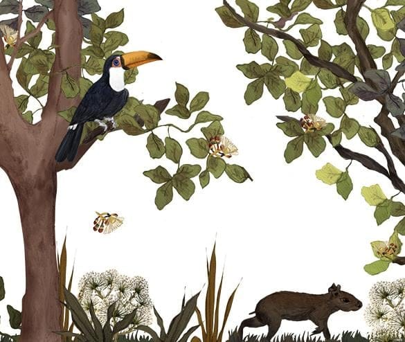 Brazilian Savanna - image 5 - student project