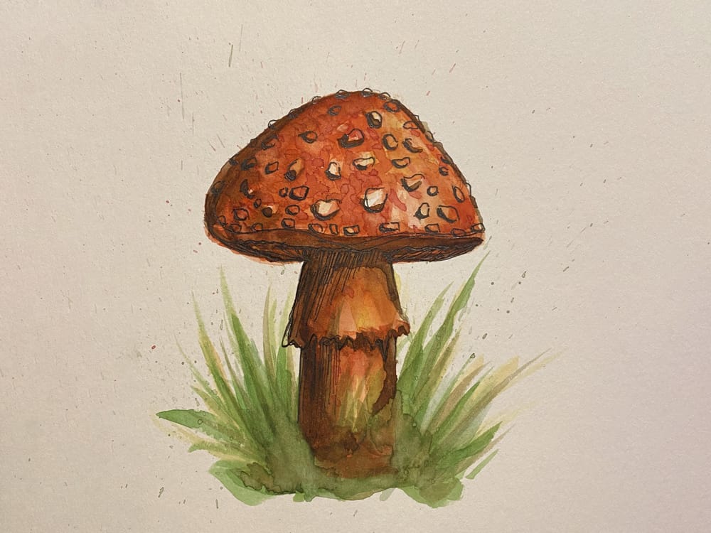 My first watercolor painting! - image 1 - student project