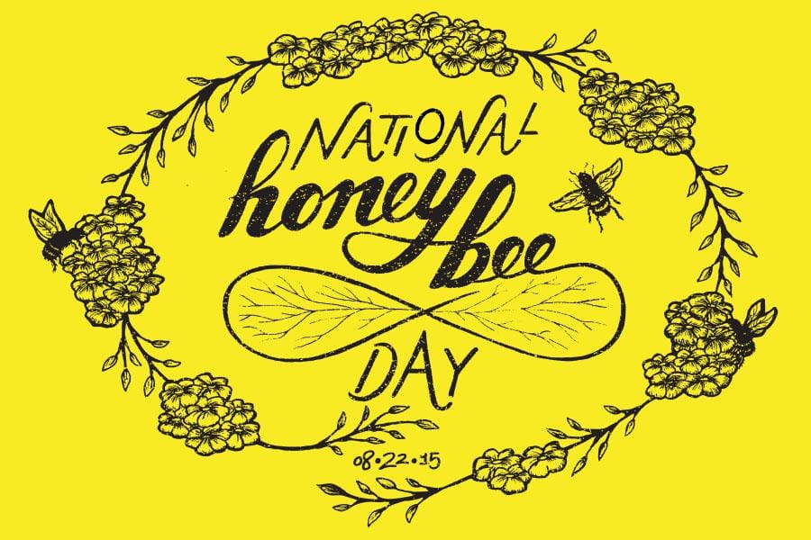 Honey Bee - image 21 - student project