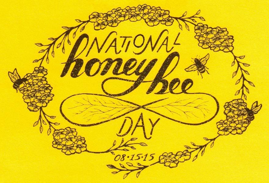 Honey Bee - image 16 - student project