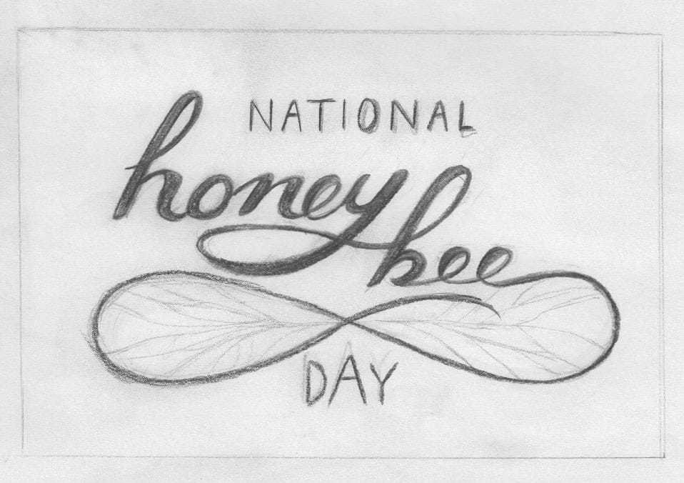 Honey Bee - image 9 - student project