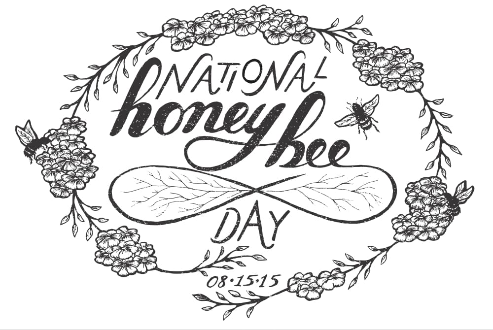 Honey Bee - image 15 - student project