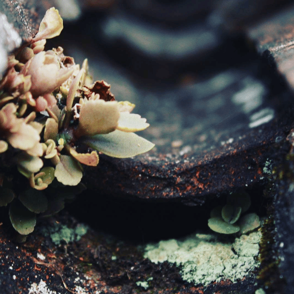 Rule of Thirds - image 2 - student project
