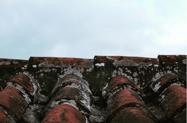 Rule of Thirds - image 1 - student project