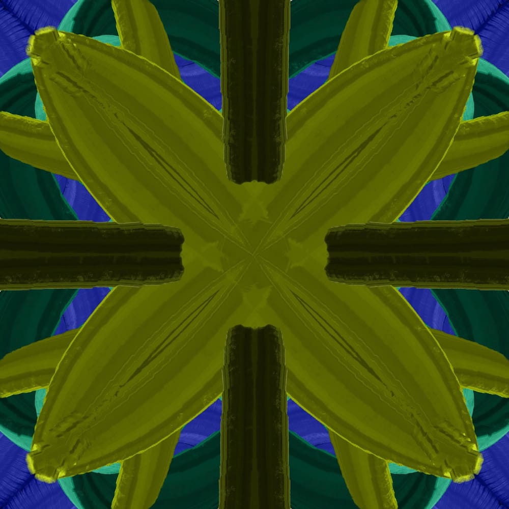 d - image 5 - student project