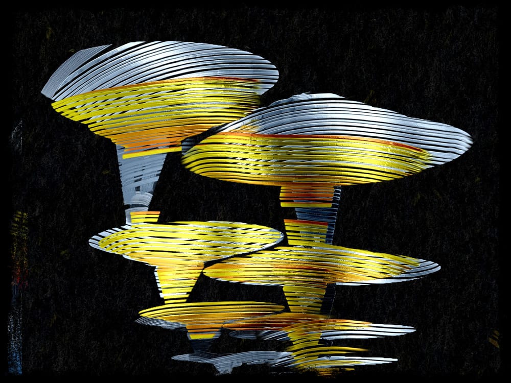 d - image 2 - student project