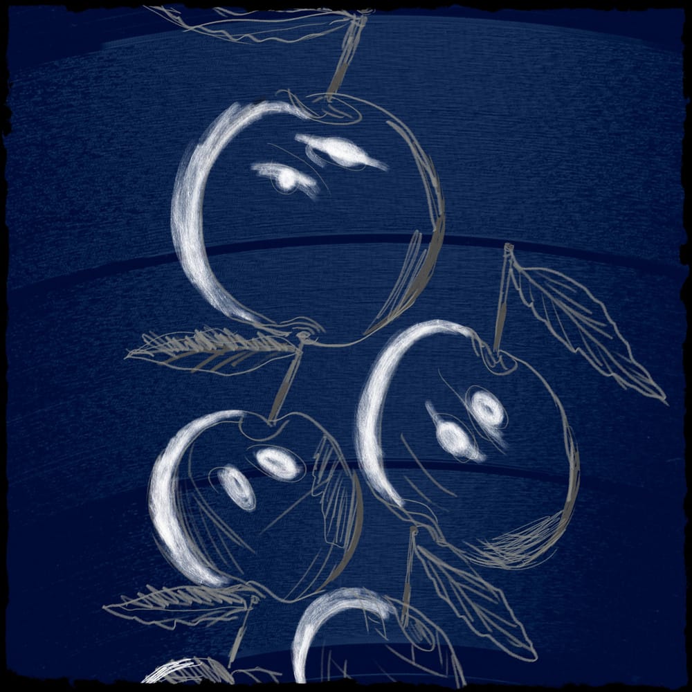 d - image 1 - student project