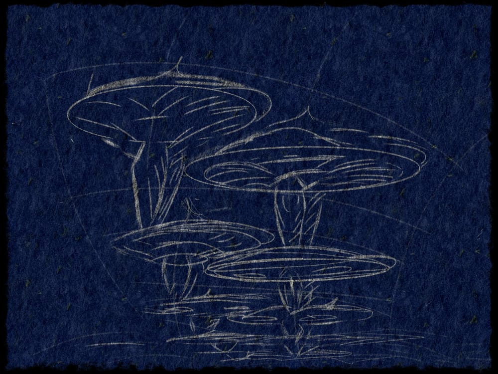 d - image 1 - student project