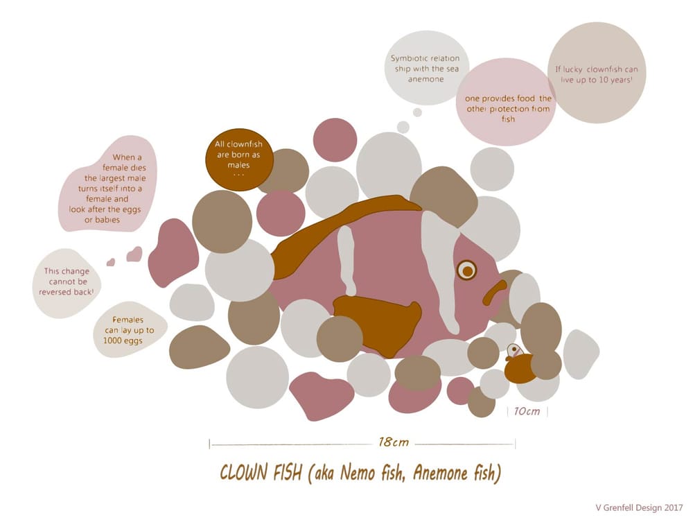 Nemo fish - image 2 - student project
