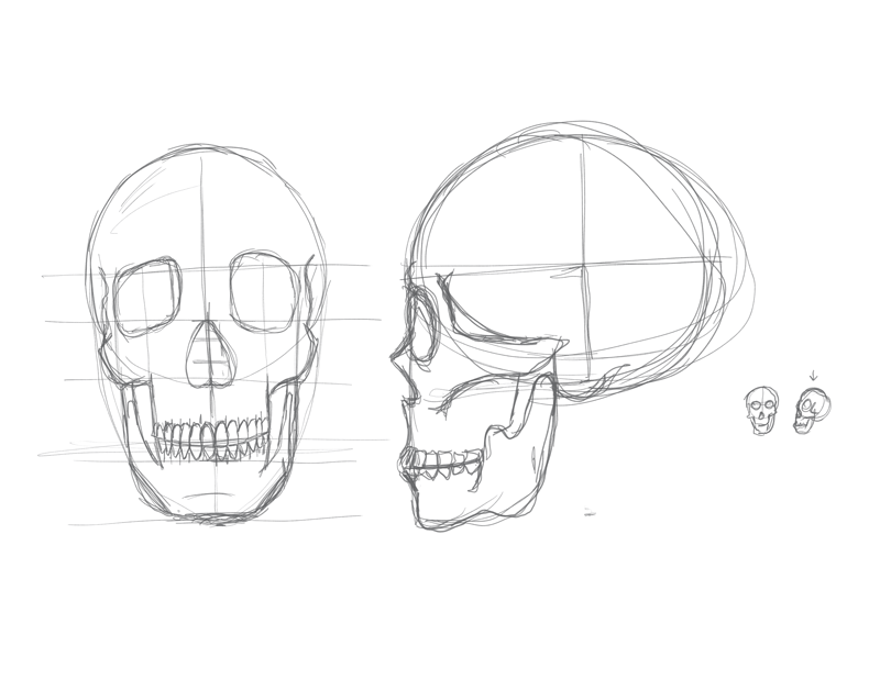 My Skulls!!! - image 2 - student project
