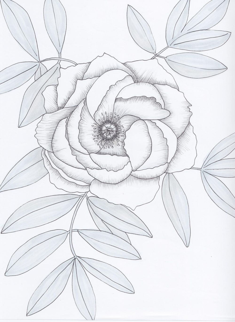 Drawing Exercises + Practice - image 1 - student project