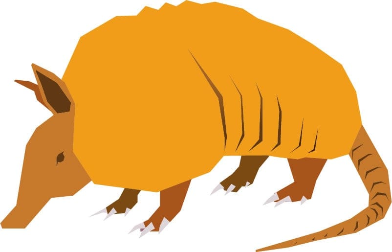 Armadillo - image 2 - student project