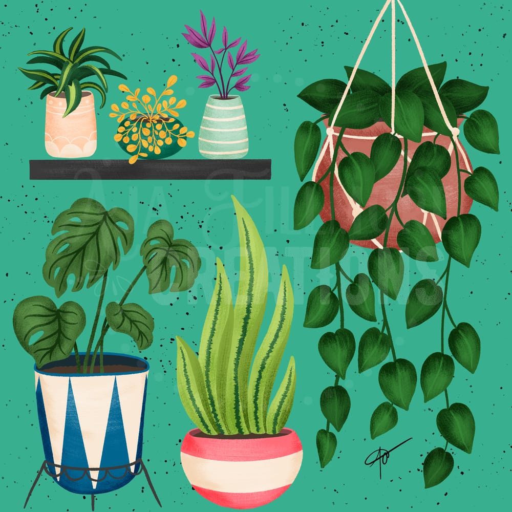 Plant illustration - image 1 - student project