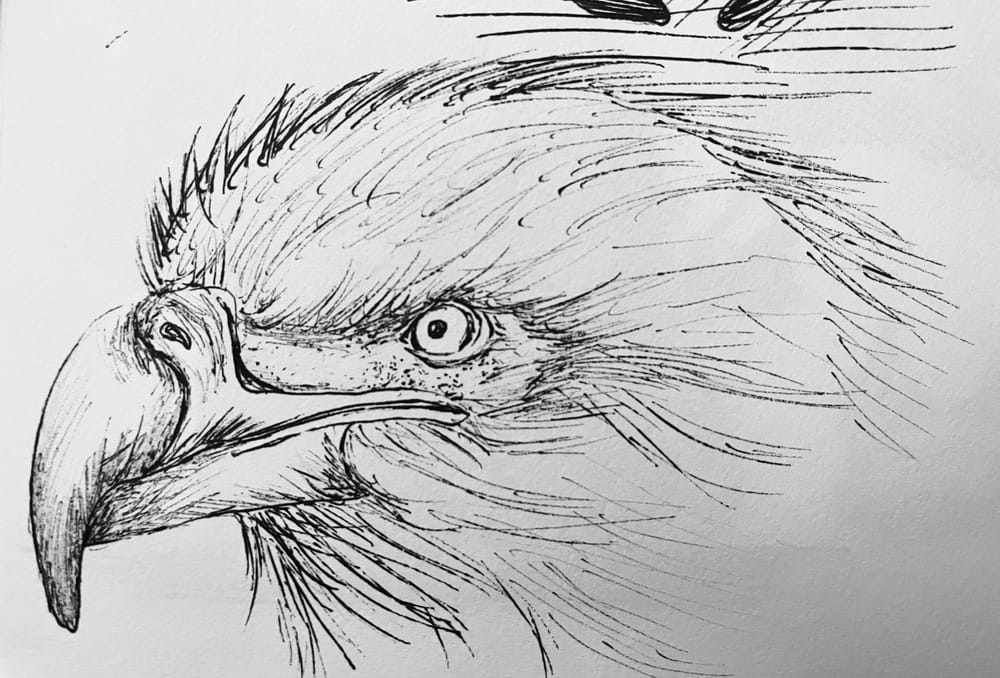 Inking techniques applied to Inktober drawings - image 2 - student project