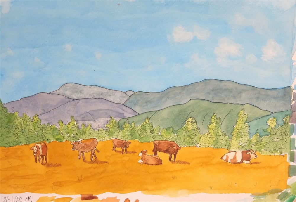 Landscape with Cattle - image 3 - student project