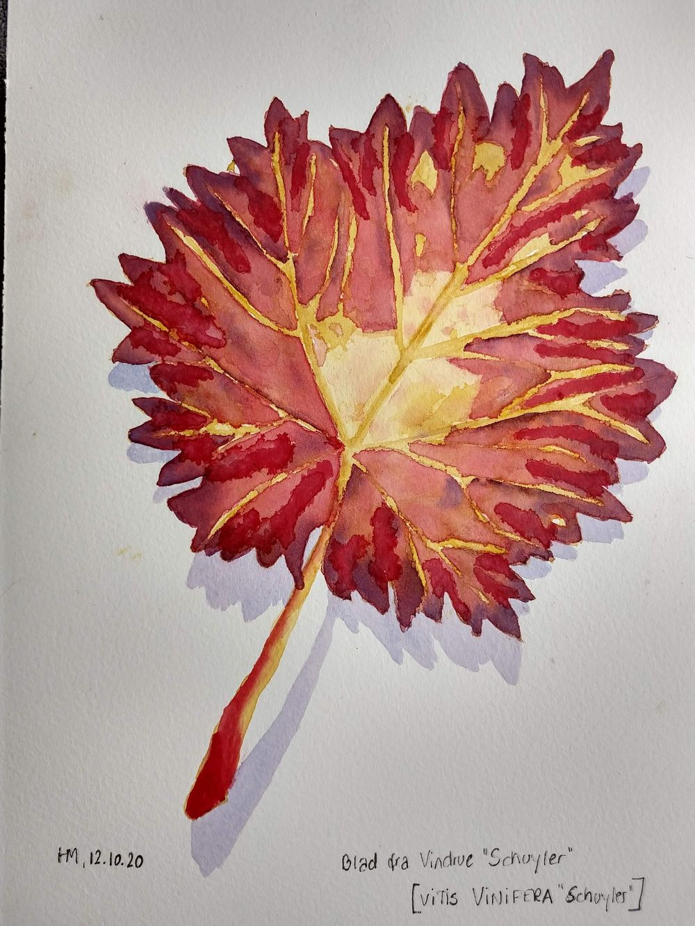 Autumn Leaf - image 1 - student project
