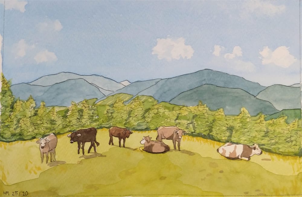 Landscape with Cattle - image 5 - student project