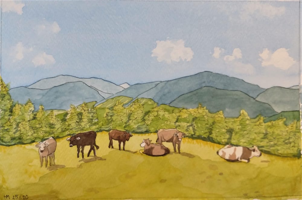 Landscape with Cattle - image 6 - student project
