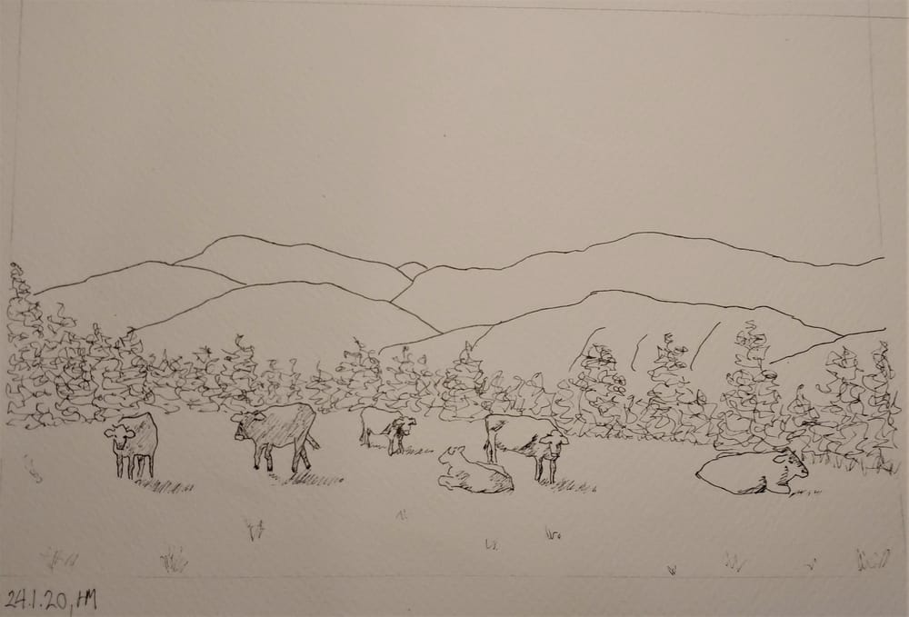 Landscape with Cattle - image 2 - student project