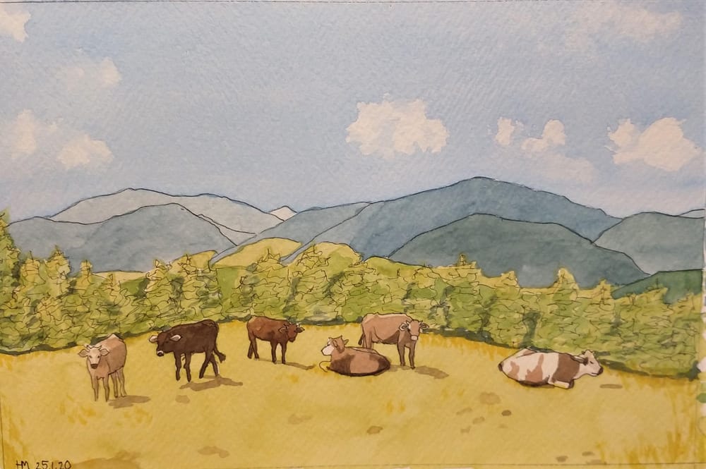 Landscape with Cattle - image 4 - student project