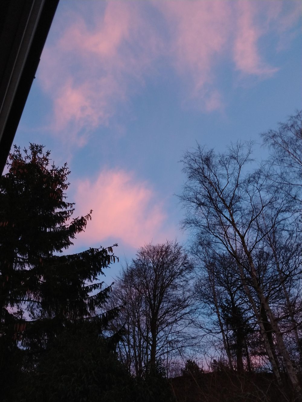 Sky Morning 1.1.20 - image 2 - student project