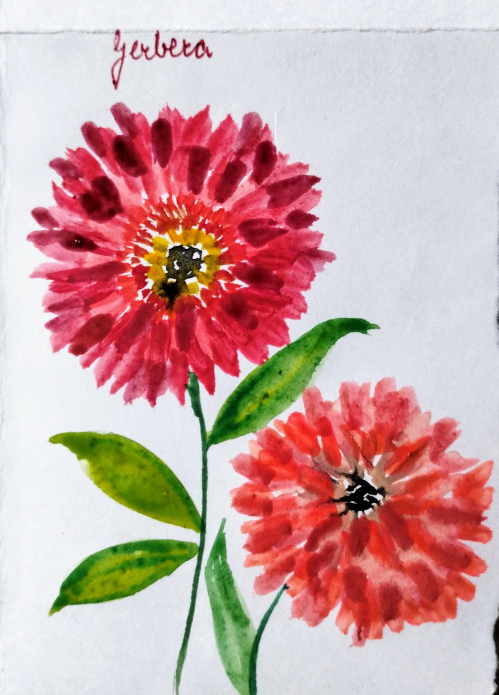 Gerbera with Pooja - image 1 - student project