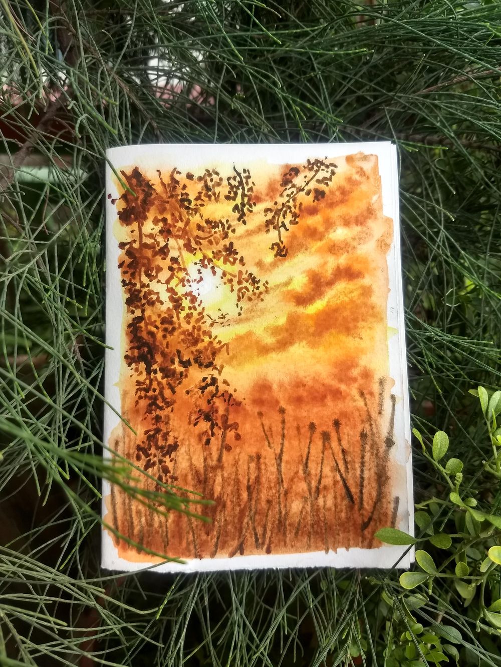 Glowing sunsets - image 2 - student project