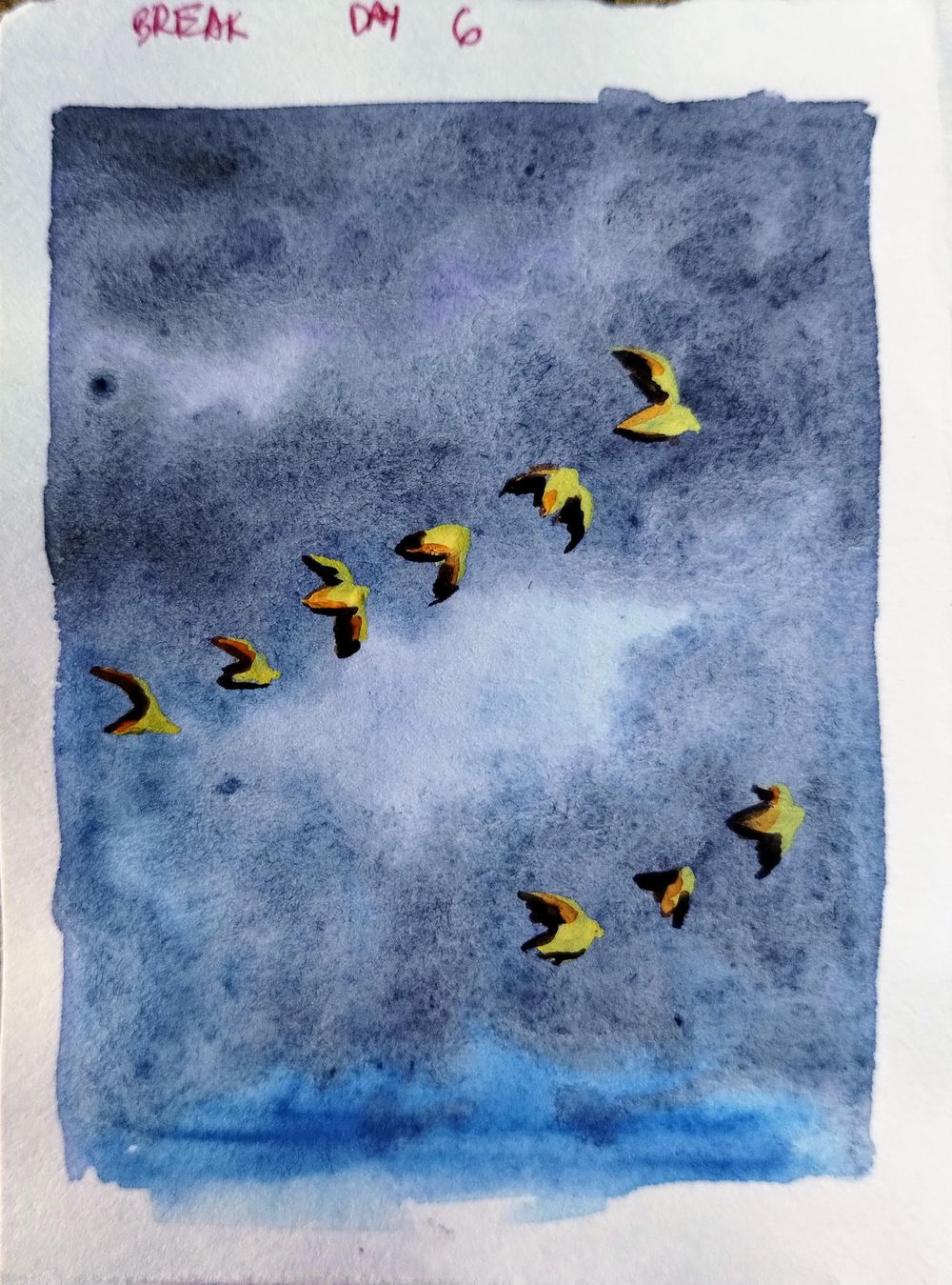 15 days skies and birds with Eswari - image 1 - student project