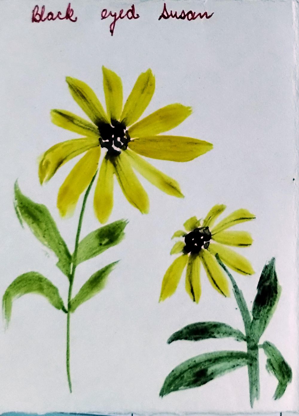 Black eyed Susan with Pooja - image 1 - student project