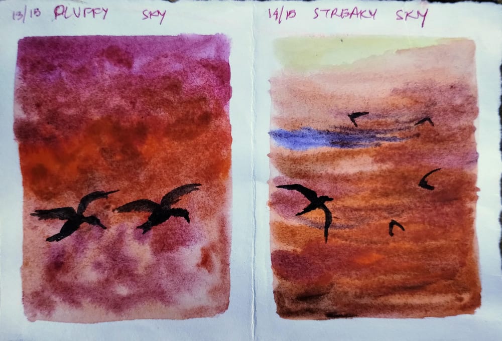 15 days skies and birds with Eswari - image 3 - student project