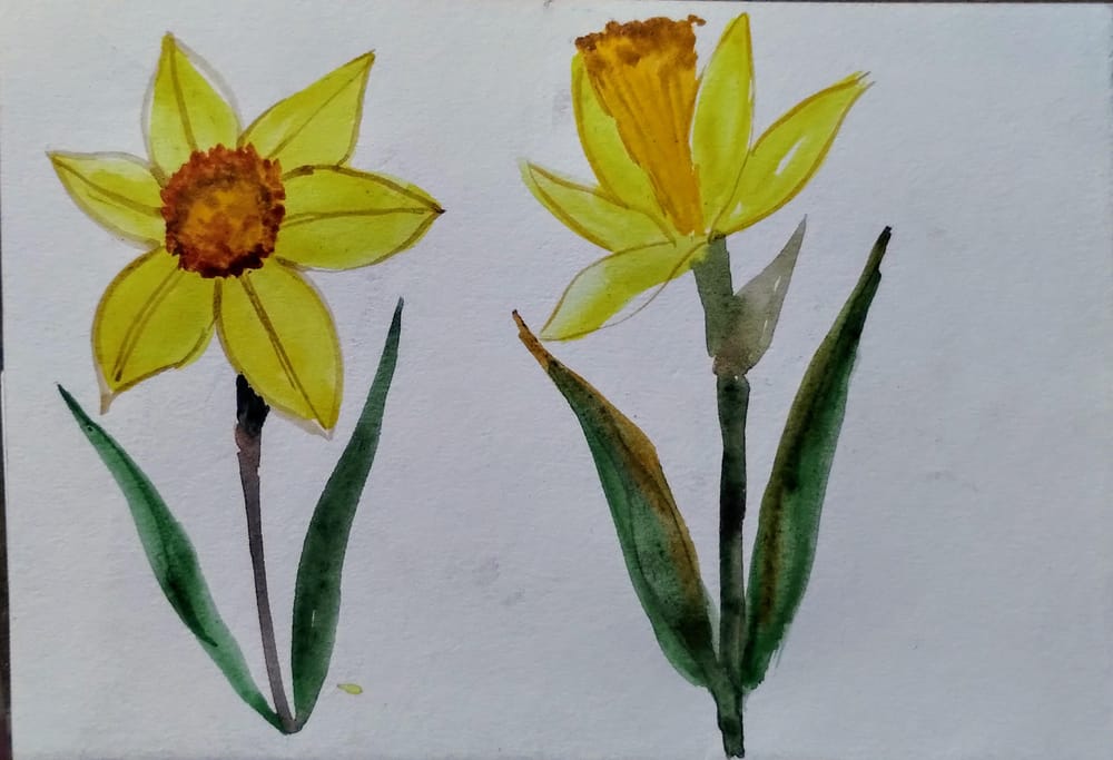 Painting botanical from live reference with Garima - image 3 - student project