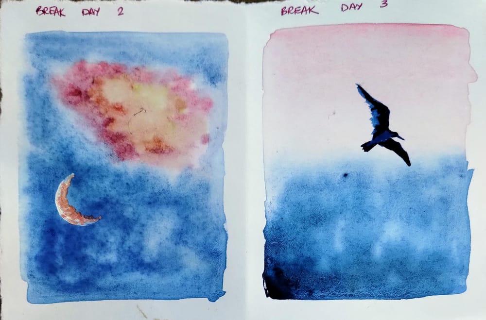 15 days skies and birds with Eswari - image 6 - student project