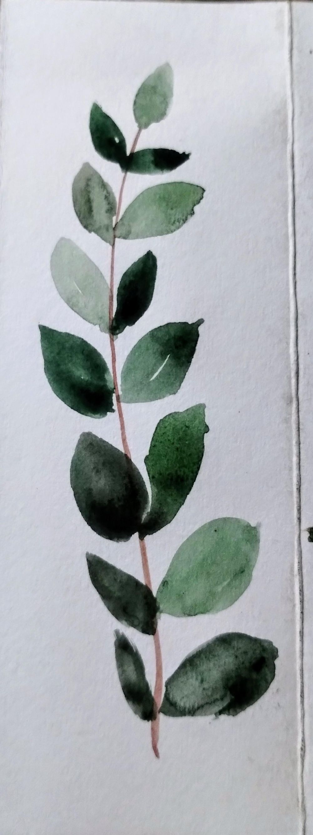 Painting botanical from live reference with Garima - image 1 - student project