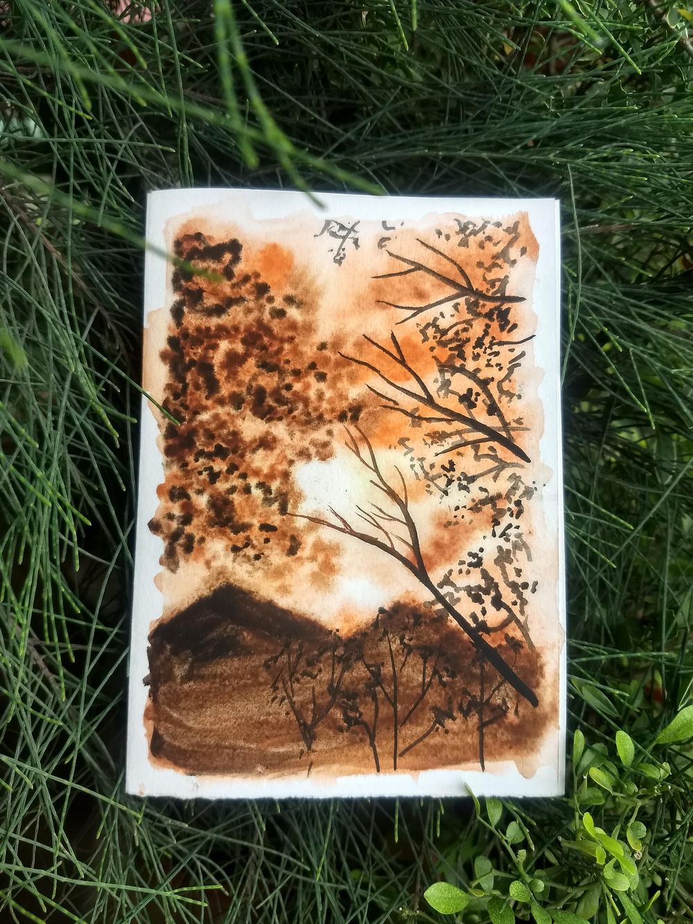 Glowing sunsets - image 3 - student project