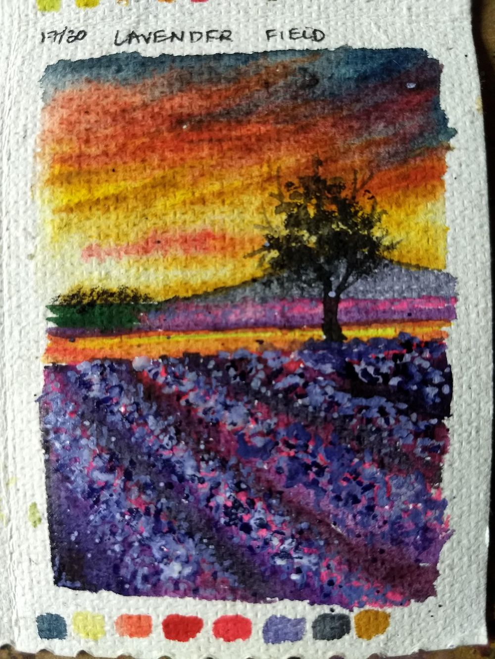 30 days nature landscape with umashree - image 16 - student project