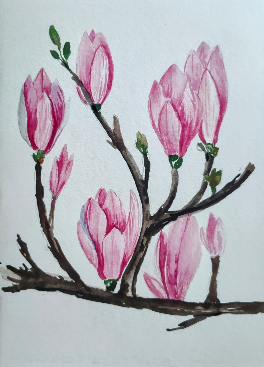 Watercolor Magnolia with Kanchan - image 1 - student project