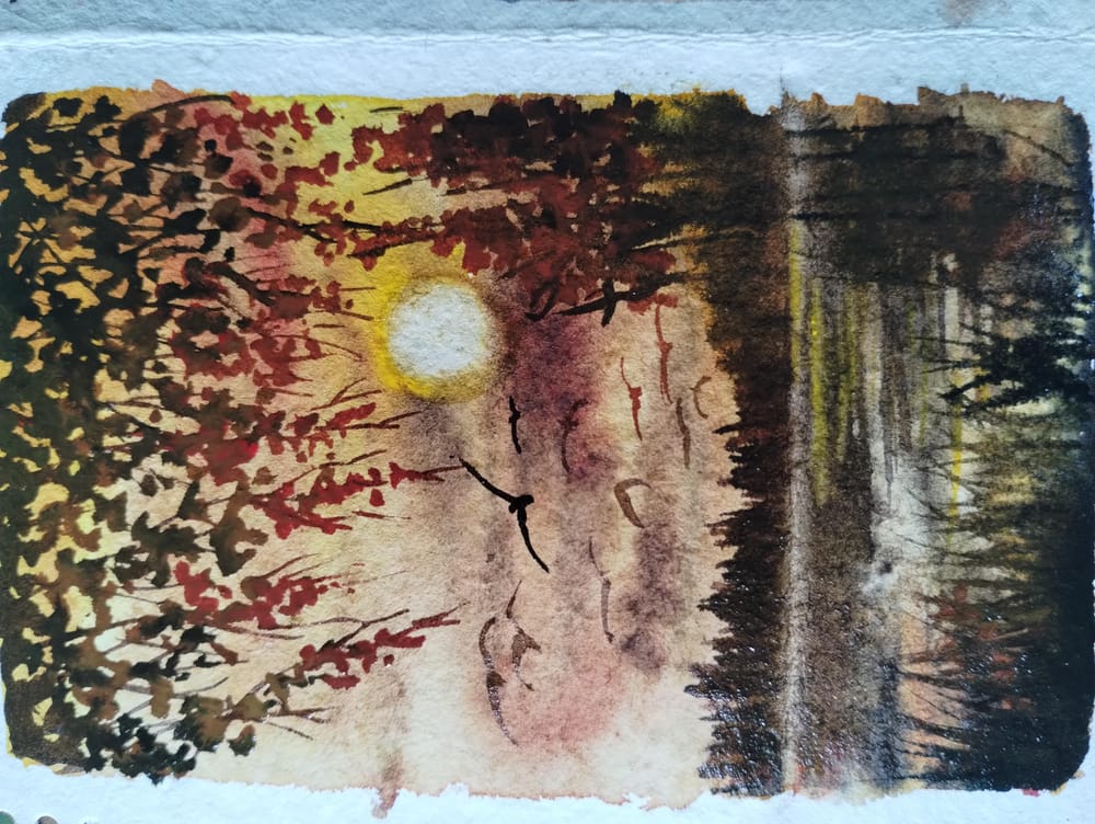 Golden hour landscape with Nilam - image 1 - student project