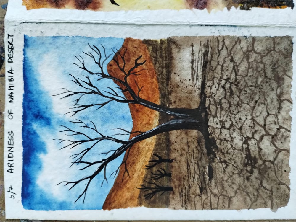 7 day desertscape with Nilam - image 4 - student project