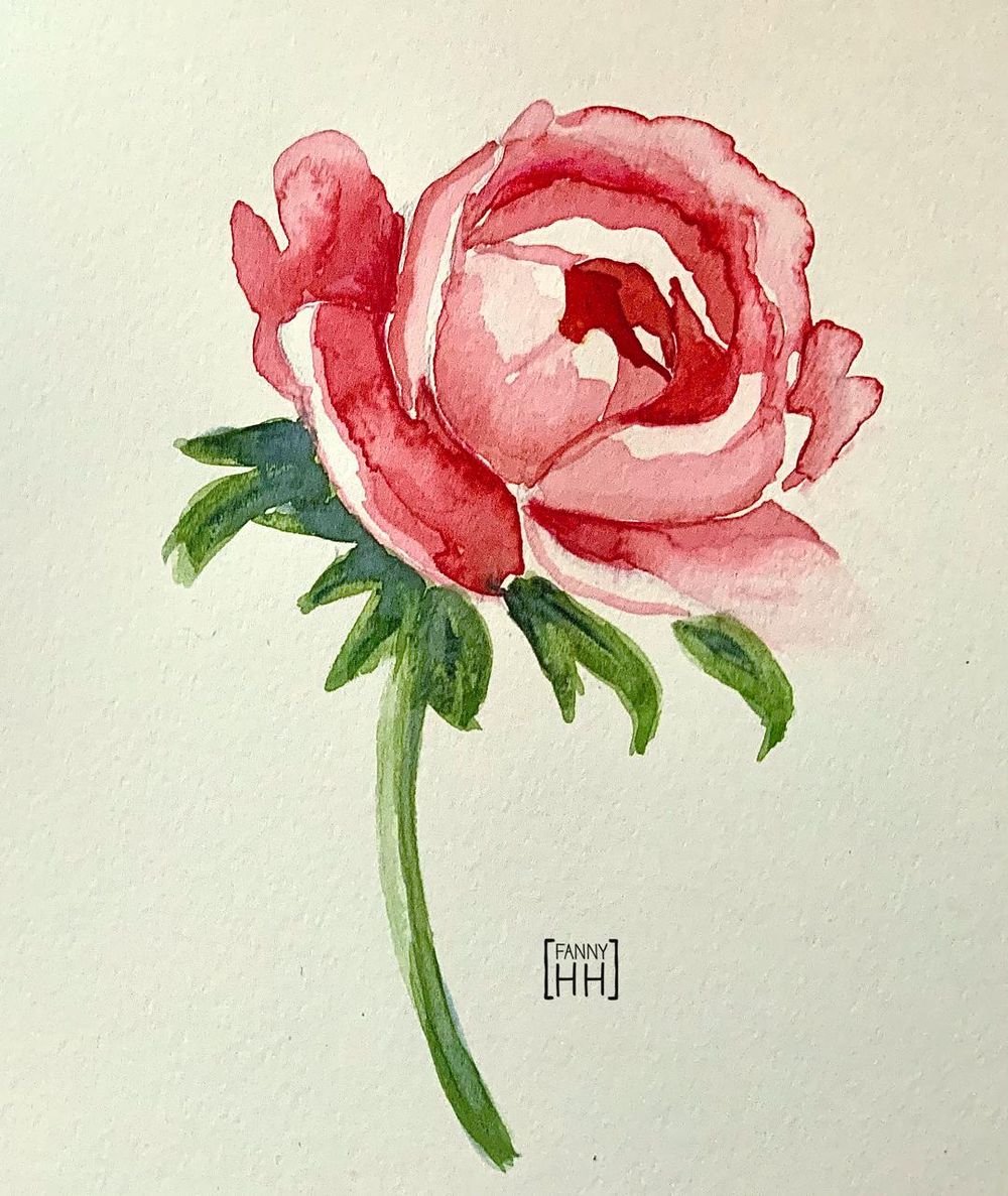 Peony - image 1 - student project