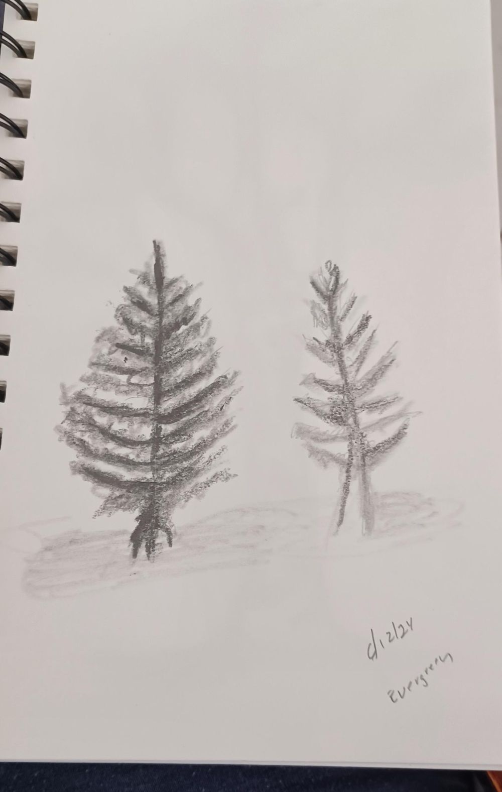 3 Types of Trees - image 2 - student project