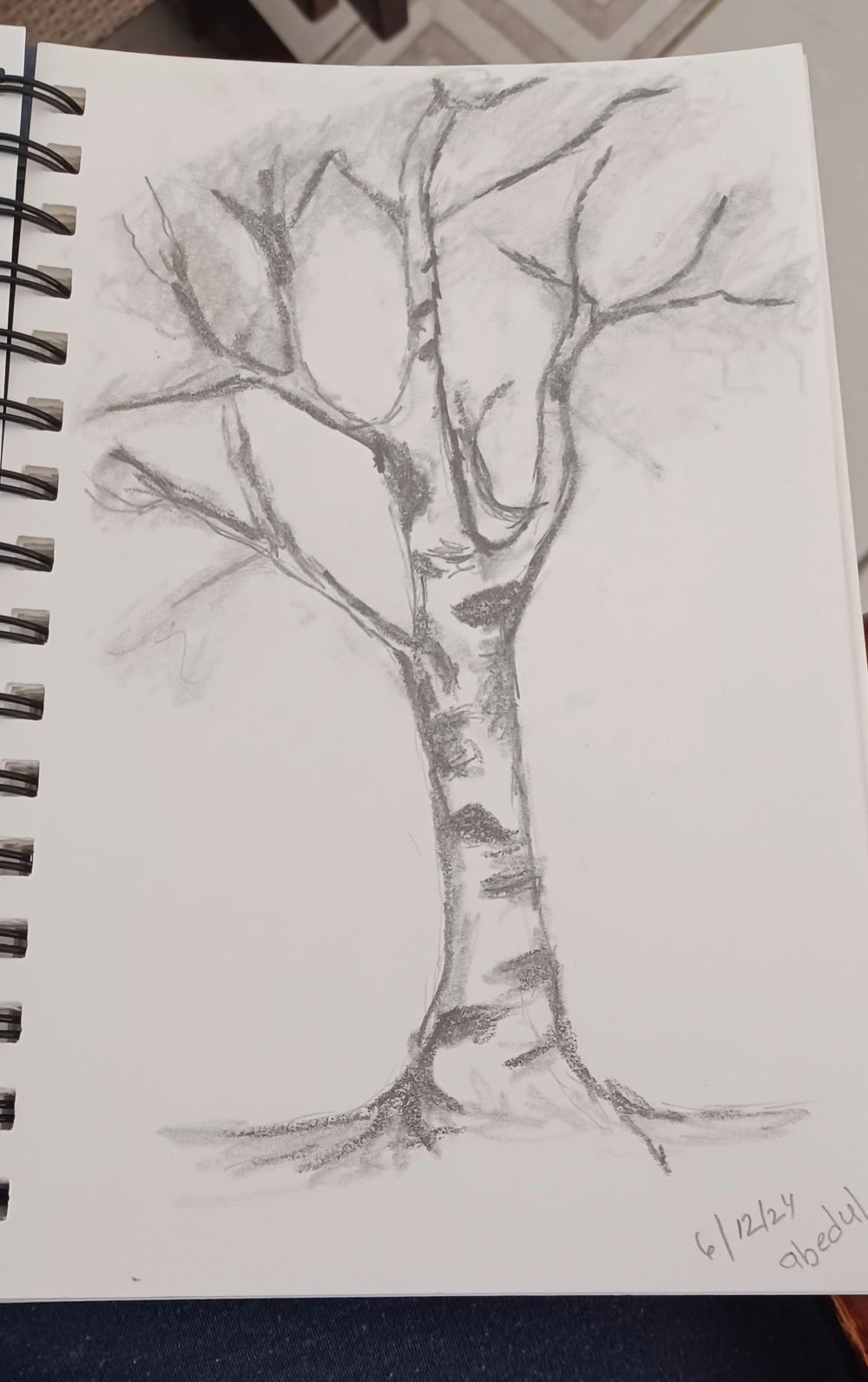 3 Types of Trees - image 3 - student project