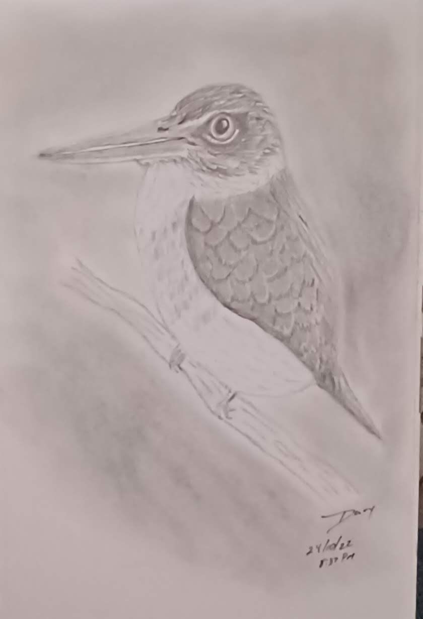 Bird - image 1 - student project