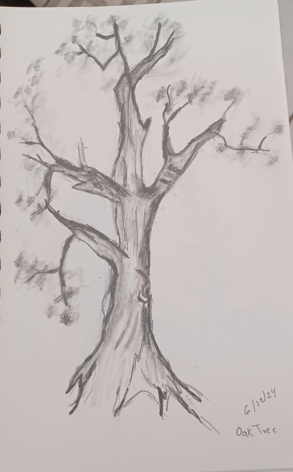 3 Types of Trees - image 1 - student project