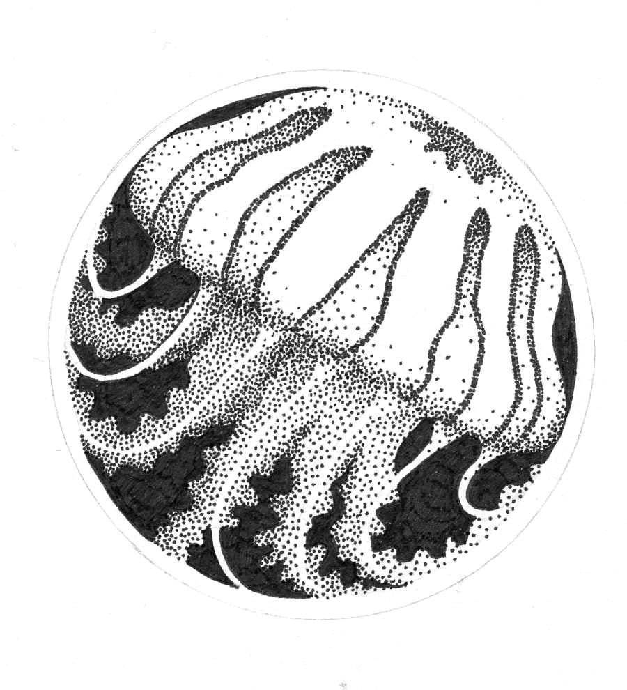 Hatching Practice - image 11 - student project
