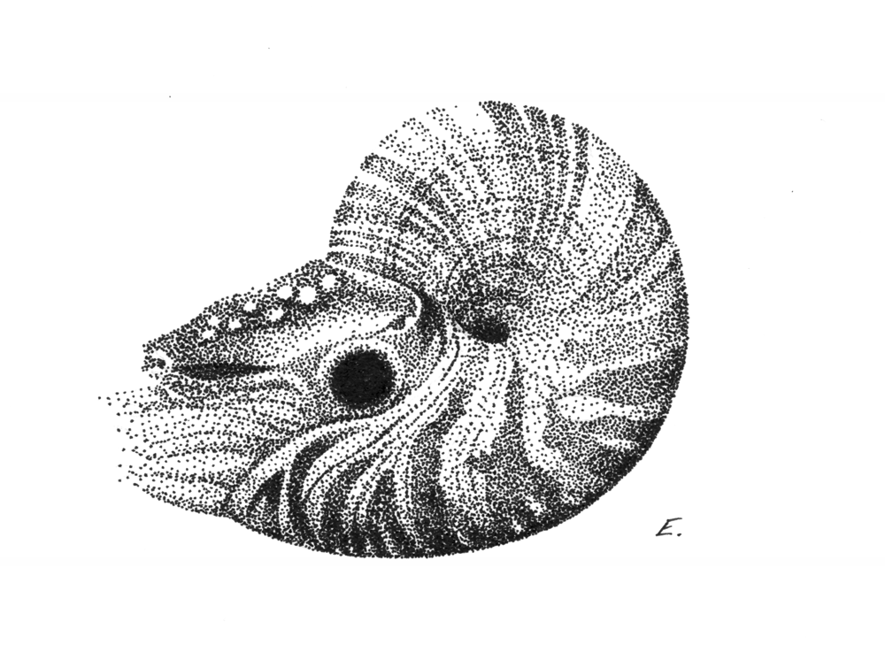 Hatching Practice - image 14 - student project
